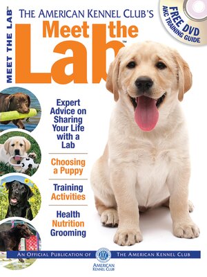 cover image of Meet the Lab